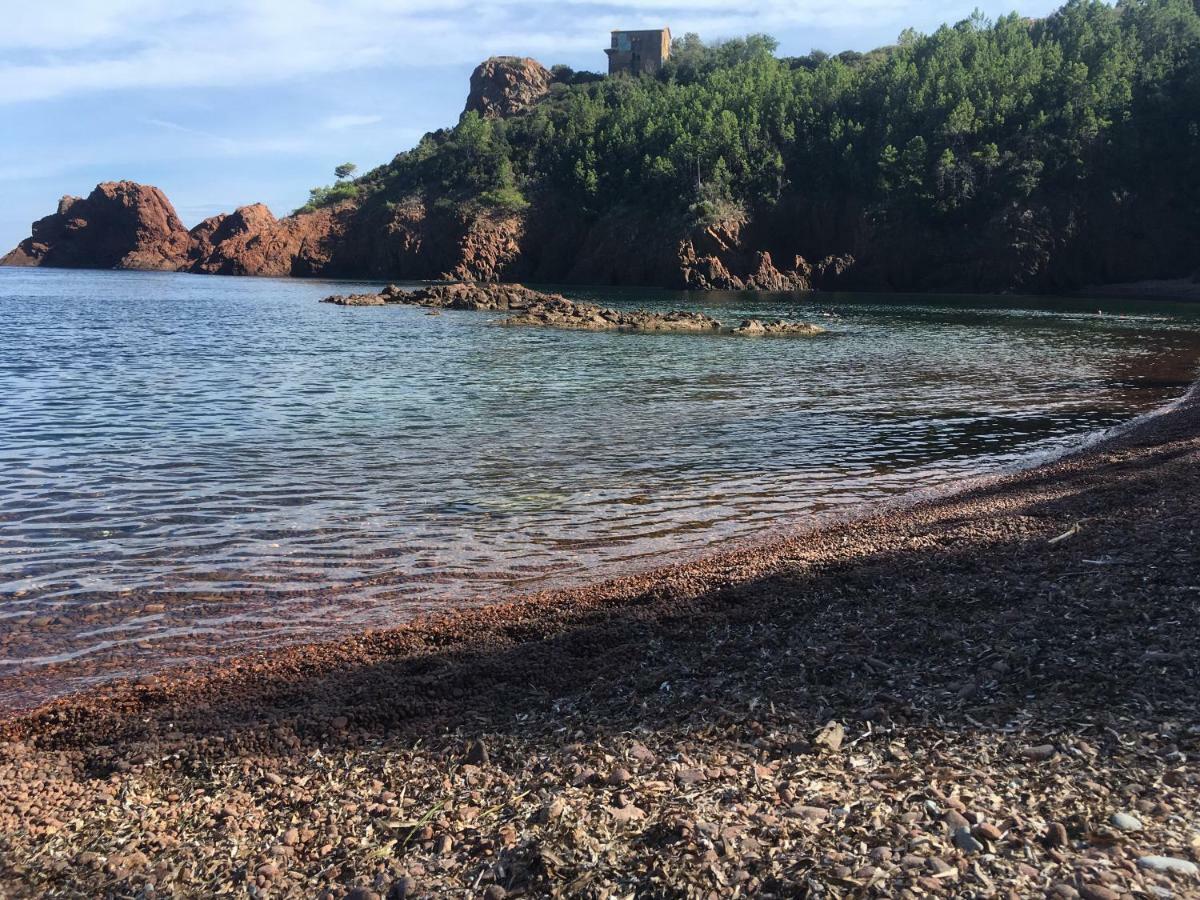 "Les Alizes" Cote Jardin Proche Bord De Mer Saint-Raphaël Kültér fotó