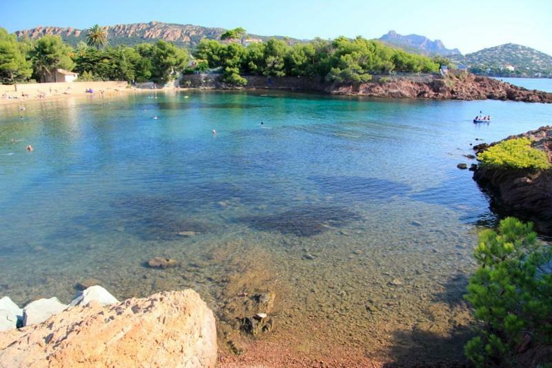 "Les Alizes" Cote Jardin Proche Bord De Mer Saint-Raphaël Kültér fotó