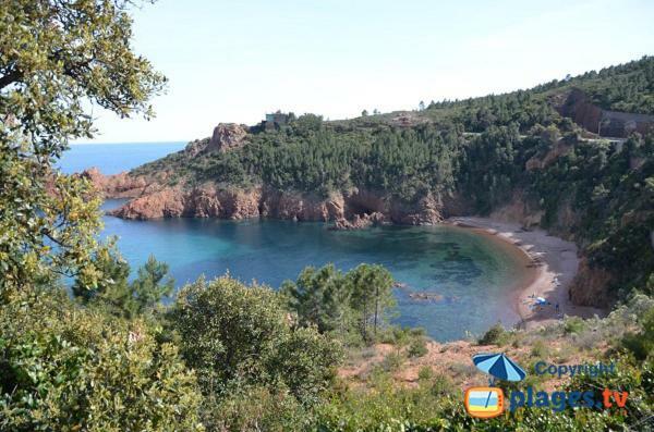 "Les Alizes" Cote Jardin Proche Bord De Mer Saint-Raphaël Kültér fotó